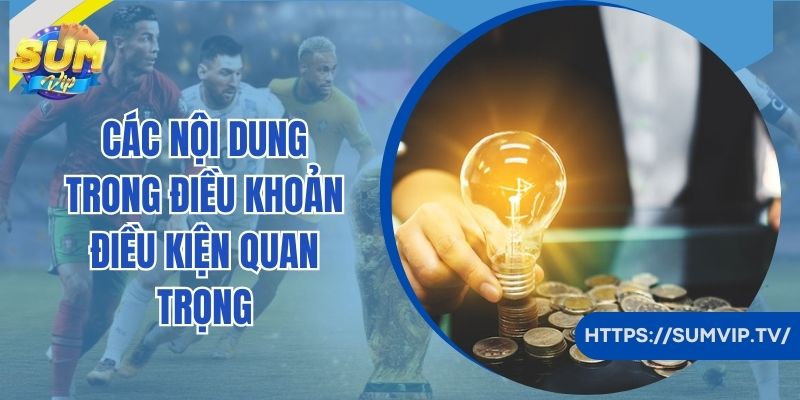 Các nội dung trong điều khoản điều kiện quan trọng